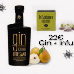 gin-infu-1.jpg