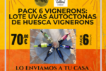 Pack 6 Vignerons: LOTE UVAS AUTOCTONAS DE HUESCA VIGNERONS