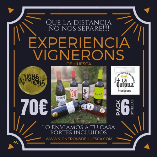 Pack Experiencia Vignerons (6 Botellas)